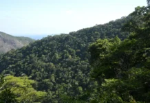 Plano Ecológico do Brasil Mobiliza R$ 500 Bi em 2025 Plano Ecológico do Brasil Mobiliza R$ 500 Bi em 2025