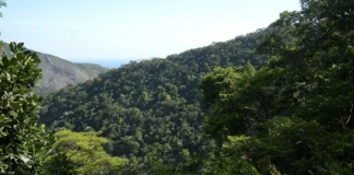 Plano Ecológico do Brasil Mobiliza R$ 500 Bi em 2025 Plano Ecológico do Brasil Mobiliza R$ 500 Bi em 2025