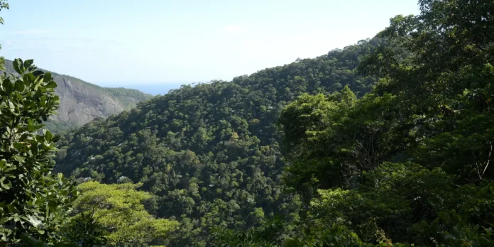 Plano Ecológico do Brasil Mobiliza R$ 500 Bi em 2025 Plano Ecológico do Brasil Mobiliza R$ 500 Bi em 2025