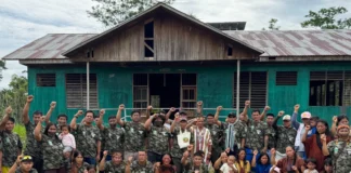 ONU convoca apoio global para estudo inédito sobre crimes na Amazônia ONU convoca apoio global para estudo inédito sobre crimes na Amazônia