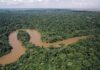Amazonia Unida: OTCA e RADA tecem futuro hídrico na maior bacia do mundo Amazonia Unida: OTCA e RADA tecem futuro hídrico na maior bacia do mundo
