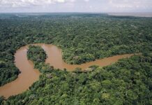 Amazonia Unida: OTCA e RADA tecem futuro hídrico na maior bacia do mundo Amazonia Unida: OTCA e RADA tecem futuro hídrico na maior bacia do mundo