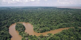 Amazonia Unida: OTCA e RADA tecem futuro hídrico na maior bacia do mundo Amazonia Unida: OTCA e RADA tecem futuro hídrico na maior bacia do mundo