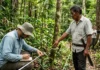 Reservas da Biosfera Freiam Desmatamento na Amazônia Ocidental: Estudo Reservas da Biosfera Freiam Desmatamento na Amazônia Ocidental: Estudo