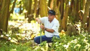 Acordo Mercosul-UE acelera exigência por rastreabilidade no agro