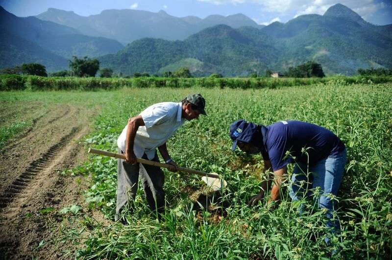 Regulamento europeu sobre desmatamento isola agricultores familiares 1 Regulamento europeu sobre desmatamento isola agricultores familiares