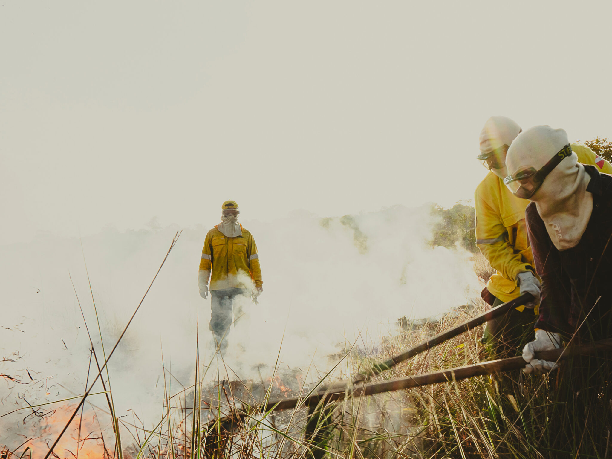 ONU convoca apoio global para estudo inédito sobre crimes na Amazônia 1 ONU convoca apoio global para estudo inédito sobre crimes na Amazônia