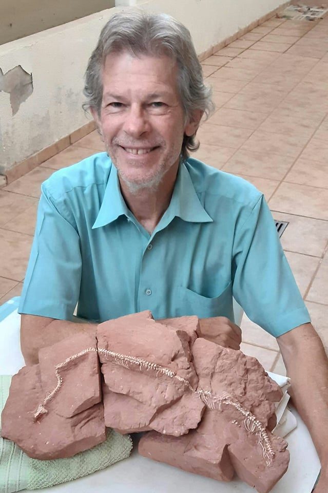 Serpente escavadora brasileira Tametara mirim reescreve a evolução dos répteis 1 Paleontólogo William Nava ao lado dos blocos de rocha com o esqueleto fóssil da serpente Tametara mirim, no Museu de Paleontologia de Marília