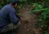 “A floresta também pode ser contada por quem caça”: o estudo que transformou conhecimento local em mapa da fauna