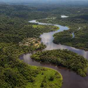 “A floresta protegida também protege a saúde”: o estudo que encontrou uma relação que depende do território