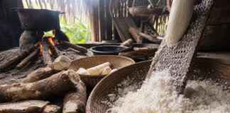 O fogo, a mandioca e a memória: como a cozinha ancestral pode funcionar como tecnologia de regeneração