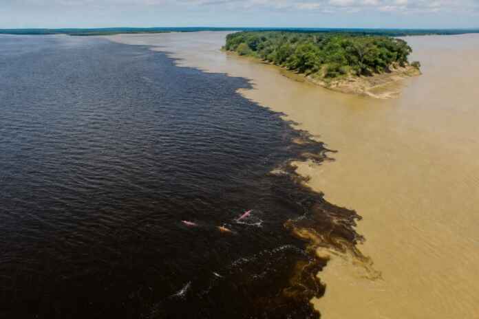 36-confluencia-rios-botos-amazonia