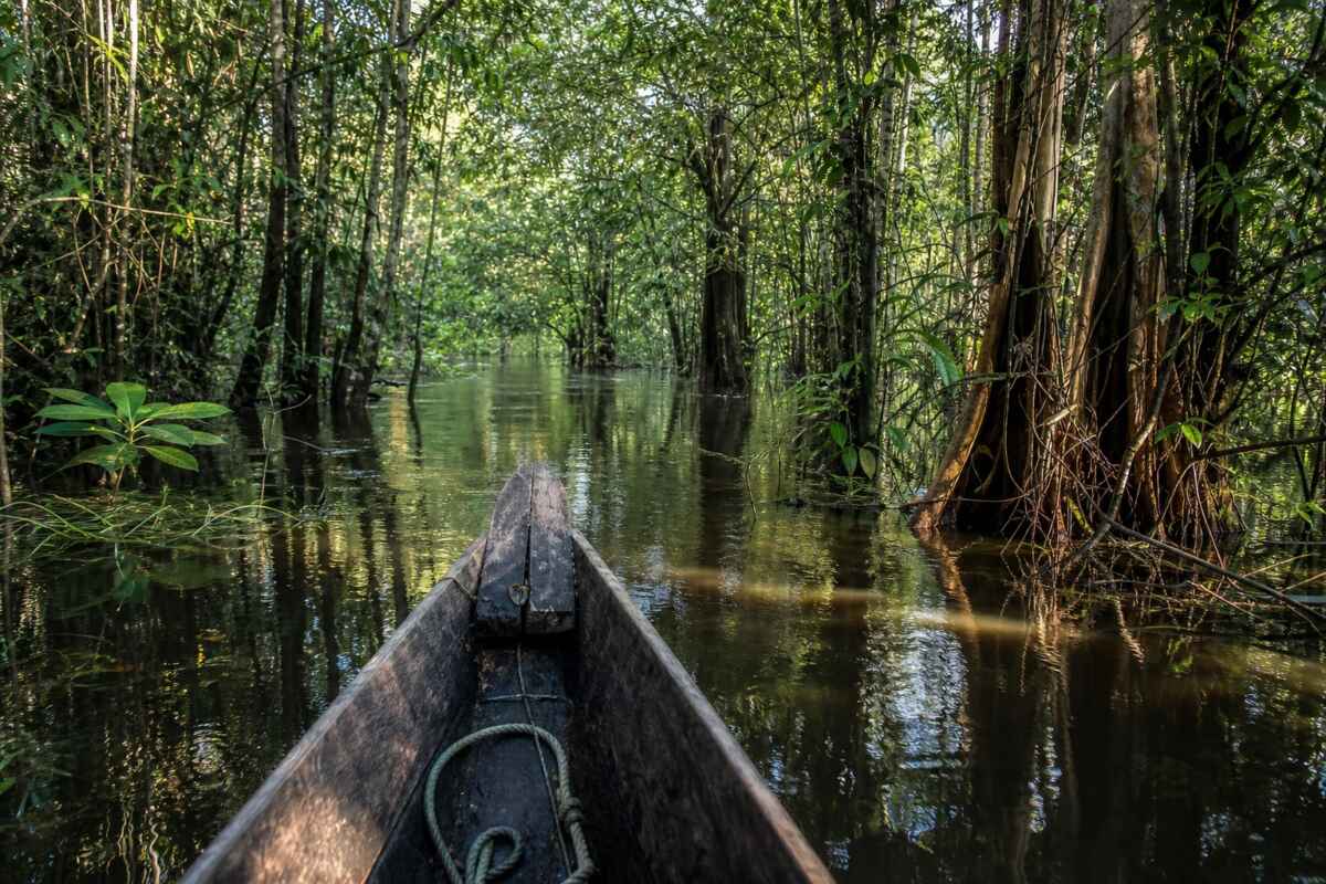 caminho da agua floresta amazonia