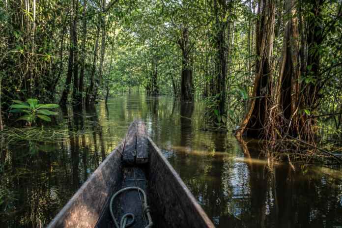 caminho-da-agua-floresta-amazonia