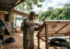 ONU cobra fim dos fósseis e acelera renováveis na COP31 ONU cobra fim dos fósseis e acelera renováveis na COP31