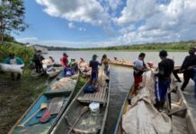 Edital Floresta+ Amazônia apoia projetos em territórios locais Edital Floresta+ Amazônia apoia projetos em territórios locais