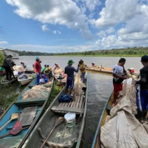 Edital Floresta+ Amazônia apoia projetos em territórios locais Edital Floresta+ Amazônia apoia projetos em territórios locais