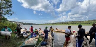 Edital Floresta+ Amazônia apoia projetos em territórios locais Edital Floresta+ Amazônia apoia projetos em territórios locais