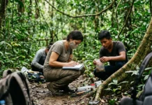 Biodiversidade: entenda por que ela sustenta a vida na Terra Biodiversidade: entenda por que ela sustenta a vida na Terra