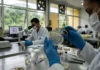 Mosca-da-bicheira: o que a ciência ensina sobre seu retorno Mosca-da-bicheira: o que a ciência ensina sobre seu retorno