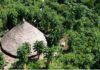 MPF processa Banco do Brasil por crédito em terra indígena MPF processa Banco do Brasil por crédito em terra indígena