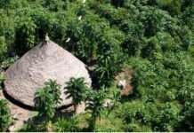 MPF processa Banco do Brasil por crédito em terra indígena MPF processa Banco do Brasil por crédito em terra indígena