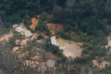 MPF debate contaminação do garimpo ilegal na Amazônia MPF debate contaminação do garimpo ilegal na Amazônia
