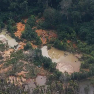 MPF debate contaminação do garimpo ilegal na Amazônia MPF debate contaminação do garimpo ilegal na Amazônia