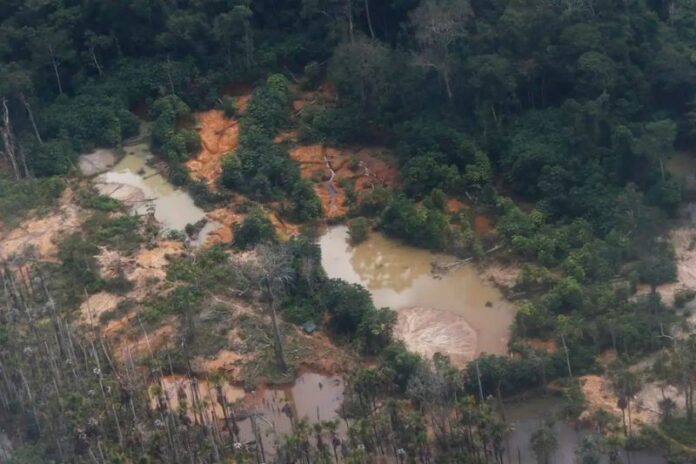 MPF debate contaminação do garimpo ilegal na Amazônia MPF debate contaminação do garimpo ilegal na Amazônia