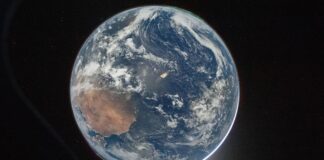 Vida na Terra pode ter surgido duas vezes, sugere estudo Vida na Terra pode ter surgido duas vezes, sugere estudo