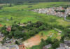 Bordas urbanas escondem potencial para regeneração florestal Bordas urbanas escondem potencial para regeneração florestal