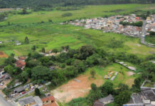 Bordas urbanas escondem potencial para regeneração florestal Bordas urbanas escondem potencial para regeneração florestal