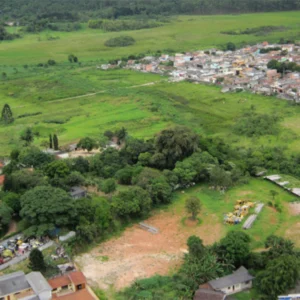 Bordas urbanas escondem potencial para regeneração florestal Bordas urbanas escondem potencial para regeneração florestal
