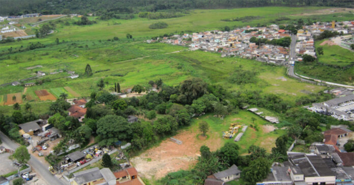 Bordas urbanas escondem potencial para regeneração florestal Bordas urbanas escondem potencial para regeneração florestal