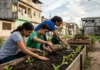 Mudanças climáticas: alunos criam mais de 220 ações reais Mudanças climáticas: alunos criam mais de 220 ações reais