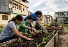 Mudanças climáticas: alunos criam mais de 220 ações reais Mudanças climáticas: alunos criam mais de 220 ações reais