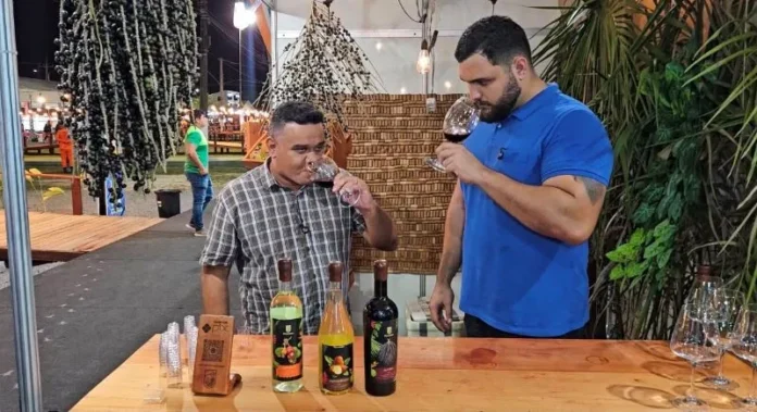 Vinho de caju e açaí transformam frutos na Expofeira 2026 Vinho de caju e açaí transformam frutos na Expofeira 2026