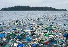 Poluição nos oceanos revela mistura de fármacos e plásticos Poluição nos oceanos revela mistura de fármacos e plásticos