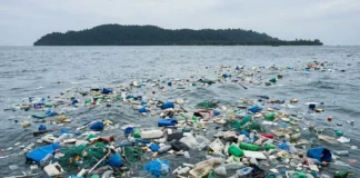 Poluição nos oceanos revela mistura de fármacos e plásticos Poluição nos oceanos revela mistura de fármacos e plásticos