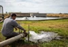 Laticínio Marajoara transforma efluentes em pastos verdes Laticínio Marajoara transforma efluentes em pastos verdes