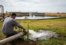 Laticínio Marajoara transforma efluentes em pastos verdes Laticínio Marajoara transforma efluentes em pastos verdes