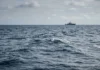 Fertilizar o oceano com ferro pode retirar até 0,70 bilhão de toneladas de CO₂, mas ameaça cadeias marinhas Fertilizar o oceano com ferro pode retirar até 0,70 bilhão de toneladas de CO₂, mas ameaça cadeias marinhas