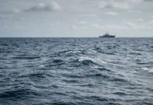 Fertilizar o oceano com ferro pode retirar até 0,70 bilhão de toneladas de CO₂, mas ameaça cadeias marinhas Fertilizar o oceano com ferro pode retirar até 0,70 bilhão de toneladas de CO₂, mas ameaça cadeias marinhas