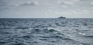 Fertilizar o oceano com ferro pode retirar até 0,70 bilhão de toneladas de CO₂, mas ameaça cadeias marinhas Fertilizar o oceano com ferro pode retirar até 0,70 bilhão de toneladas de CO₂, mas ameaça cadeias marinhas