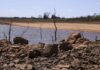 Brasil chega à COP17 da Desertificação sem metas, enquanto 124 países já formalizaram compromissos Brasil chega à COP17 da Desertificação sem metas, enquanto 124 países já formalizaram compromissos