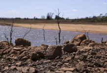 Brasil chega à COP17 da Desertificação sem metas, enquanto 124 países já formalizaram compromissos Brasil chega à COP17 da Desertificação sem metas, enquanto 124 países já formalizaram compromissos