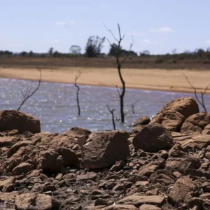 Brasil chega à COP17 da Desertificação sem metas, enquanto 124 países já formalizaram compromissos Brasil chega à COP17 da Desertificação sem metas, enquanto 124 países já formalizaram compromissos