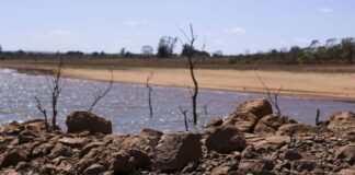 Brasil chega à COP17 da Desertificação sem metas, enquanto 124 países já formalizaram compromissos Brasil chega à COP17 da Desertificação sem metas, enquanto 124 países já formalizaram compromissos