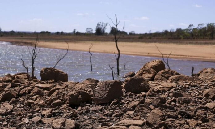 Brasil chega à COP17 da Desertificação sem metas, enquanto 124 países já formalizaram compromissos