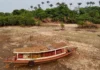 El Niño de 2026 ameaça milhões na Amazônia, encarece alimentos e pode acelerar a morte da floresta El Niño de 2026 ameaça milhões na Amazônia, encarece alimentos e pode acelerar a morte da floresta